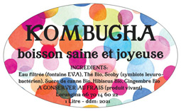 logo Kombucha